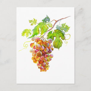 Watercolor Bunch of grapes. Art postcard