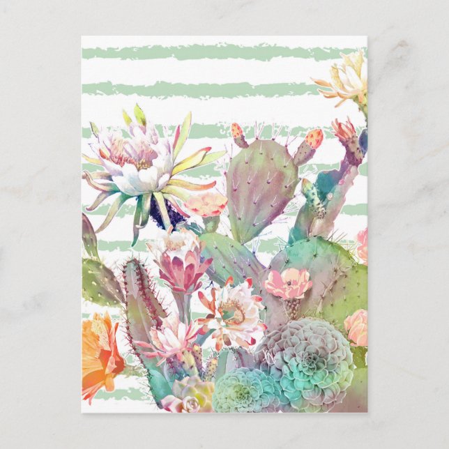 Watercolor Cactus Floral Stripes Design Postcard (Front)