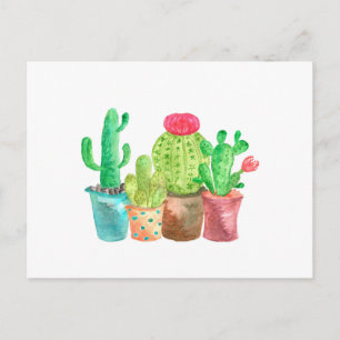 Watercolor Cactus Postcard