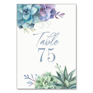 Watercolor Cactus Succulents Table Number