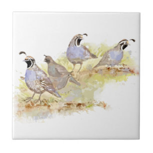 Watercolor California Quail Bird Nature Art Ceramic Tile