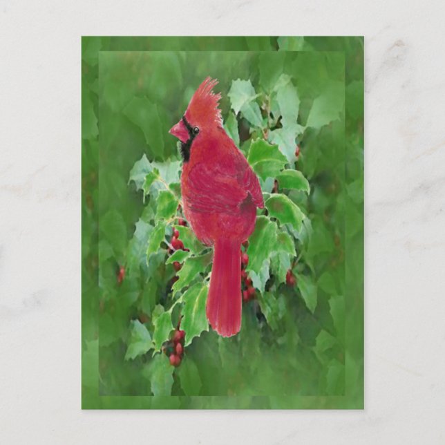 Watercolor Cardinal Bird Holly Berry Christmas Holiday Postcard (Front)