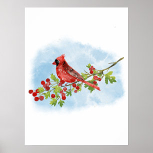 Watercolor Cardinal Bird on Berry Branch  Poster