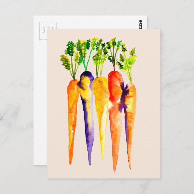 Watercolor carrots colourful food art postcard (Front/Back)