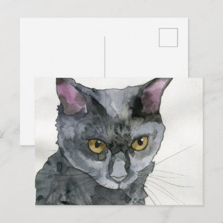 Watercolor Cat Postcard