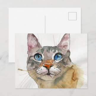 Watercolor Cat Postcard