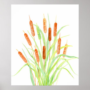 Watercolor Cattail (Typha), bulrush, seed heads Poster