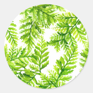 Watercolor Chartreuse Green Ferns Pattern Wedding Classic Round Sticker