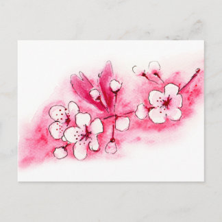 Watercolor Cherry Blossom Postcard