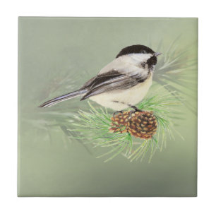 Watercolor Chickadee Bird in Pine Tree Nature art Ceramic Tile