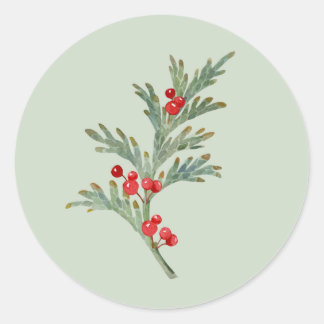 Watercolor Christmas Juniper Branch with Berries Classic Round Sticker