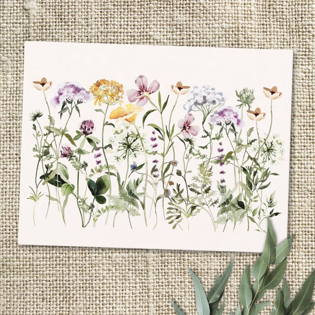 Watercolor Colourful Wildflower Garden Postcard (Close up)