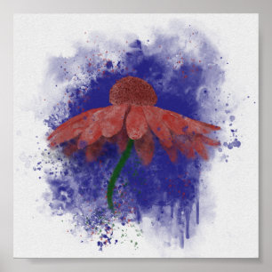 Watercolor Coneflower Poster