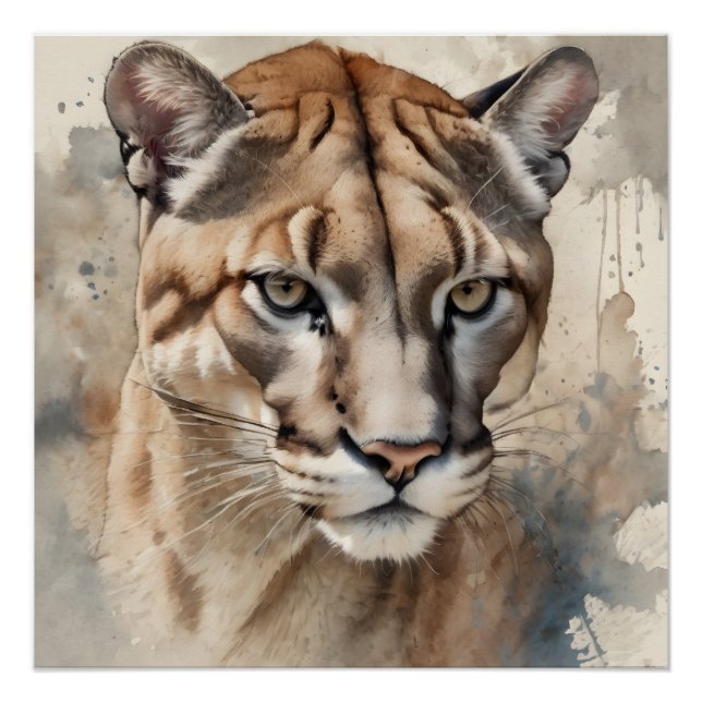 Watercolor Cougar no 2 Poster (Front)