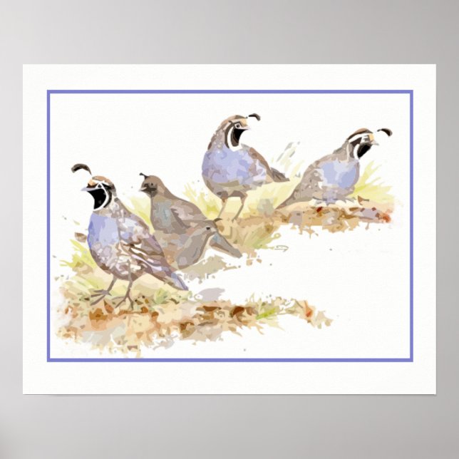 Watercolor Covey of California Quail Birds Poster (Front)