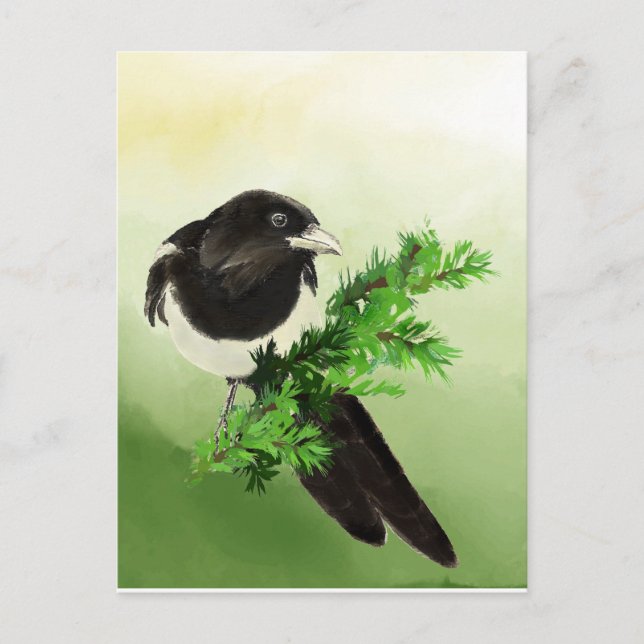 Watercolor Curious Magpie Garden Bird Wildife Art  Postcard (Front)