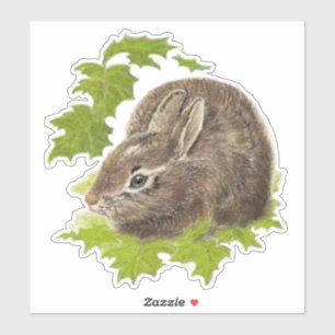 Watercolor Cute Little Bunny Rabbit Pet Animal