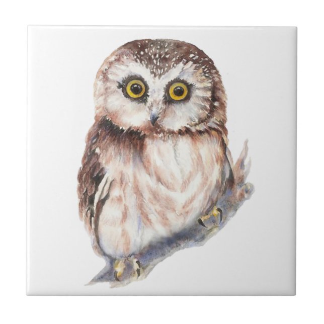 Watercolor Cute Little Shocked Looking Owl Bird Tile (Front)