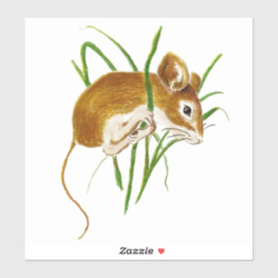 Watercolor Cute Mouse Mice Animal art