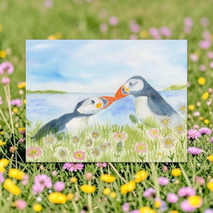 Watercolor Cute Puffins in a Field of Flowers Holiday Postcard