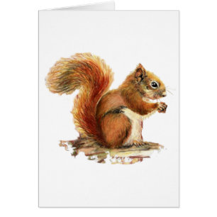 Watercolor Cute Red Squirrel Animal Nature