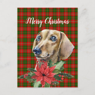 Watercolor Dachshund Dog Christmas Postcard
