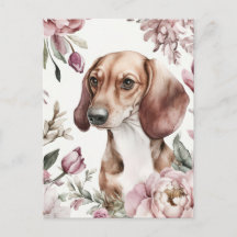 Watercolor Dachshund Postcard