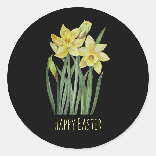 Watercolor Daffodils Flower Portrait Illustration  Classic Round Sticker (Front)