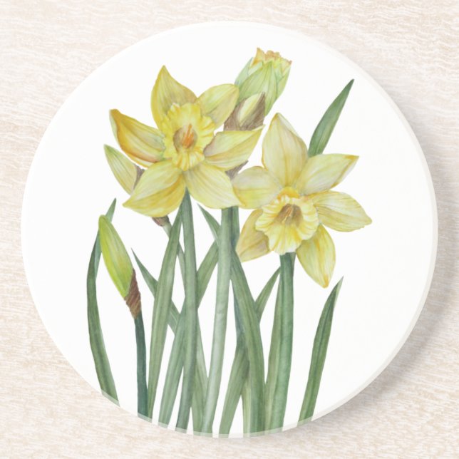 Watercolor Daffodils Flower Portrait Illustration Coaster (Front)