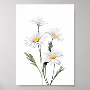 Watercolor Daisies  Poster