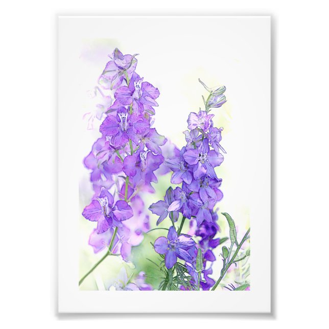 Watercolor Delphiniums Photo Print (Front)