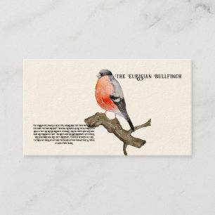 Watercolor design forest bird bullfinch business card