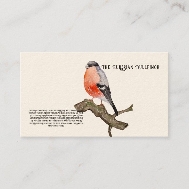 Watercolor design forest bird bullfinch business card (Front)