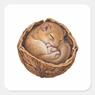 Watercolor Dormouse in a Walnut Shell Square Sticker