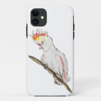 Watercolor drawing of a cockatoo parrot