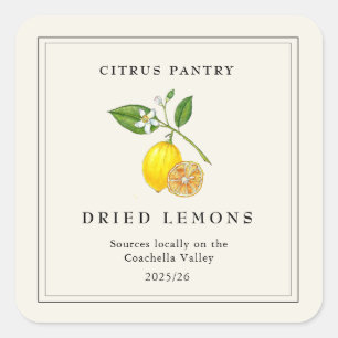 Watercolor Dried Lemon slices  Square Sticker