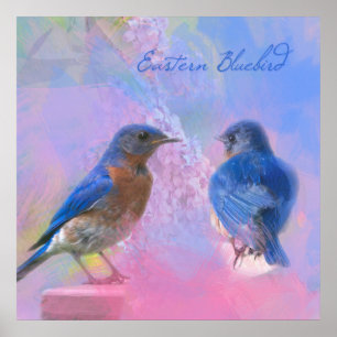 Watercolor Eastern Bluebirds Poster