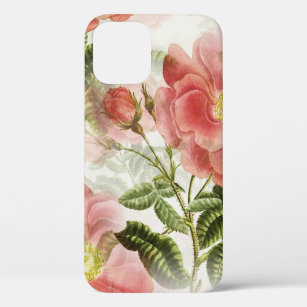 Watercolor English Roses and Rosebud iPhone Case