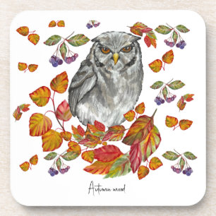 Watercolor fall beautiful owl and leaves coaster