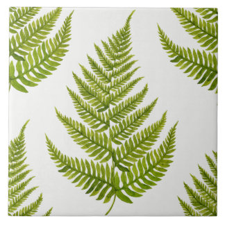 Watercolor Fern Pattern Ceramic Tile