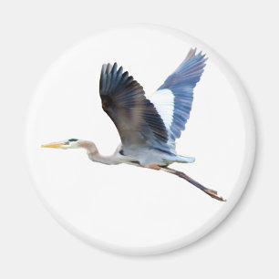 Watercolor Flying Blue Heron Magnet