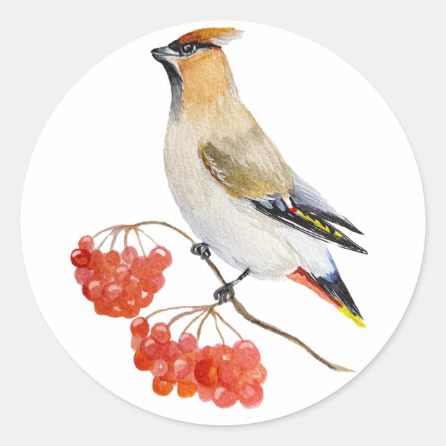 Watercolor forest bird waxwing classic round sticker (Front)