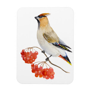 Watercolor forest bird waxwing magnet