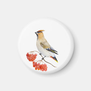 Watercolor forest bird waxwing magnet