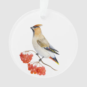 Watercolor forest bird waxwing ornament