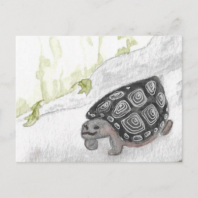 Watercolor Forest Turtle Postcard (Front)