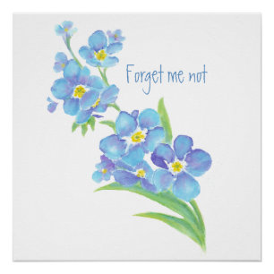 Watercolor Forget-me-not flower Pretty blue floral Poster