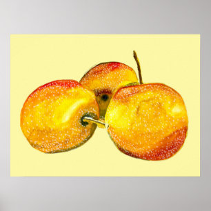 Watercolor fruit yellow pear fruit poster