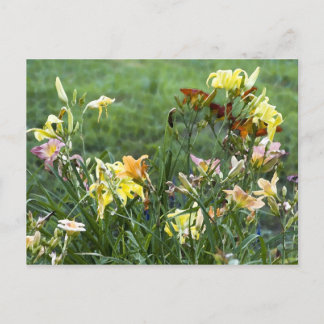 Watercolor Garden Postcard