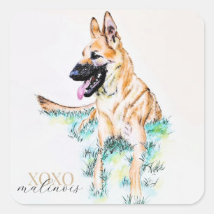 Watercolor German Shepherd Malinois XOXO Square Sticker